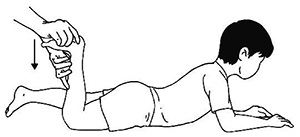Exercises for Epilepsy Lower Limb Stretching Exercises Passive